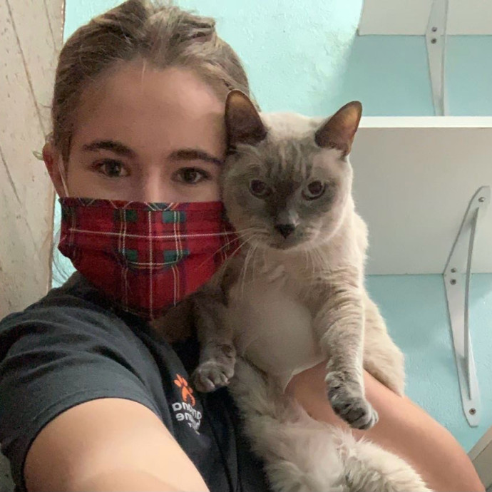 Lexie's Cat Care Extravaganza