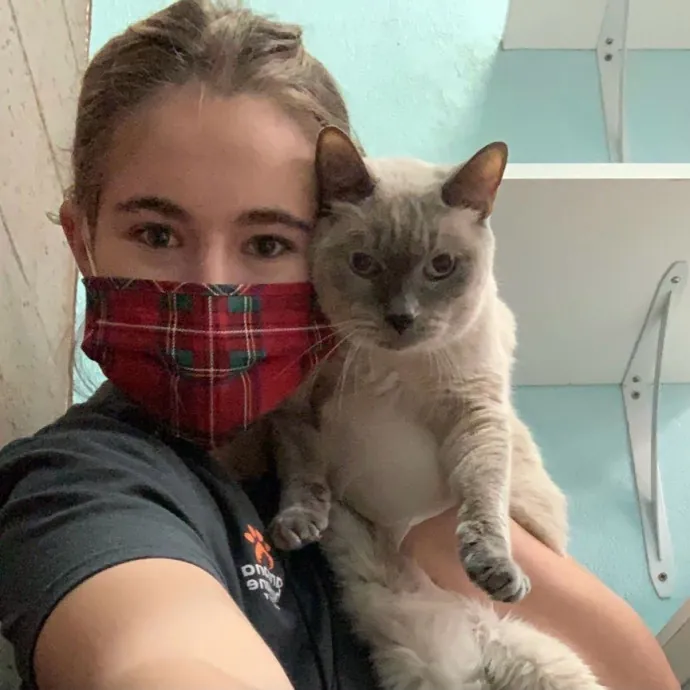 Lexie's Cat Care Extravaganza