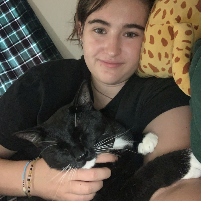 Lexie's Cat Care Extravaganza