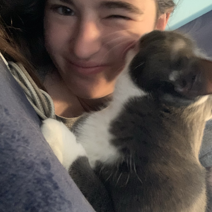 Lexie's Cat Care Extravaganza photo 3