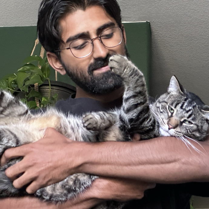 Loving Reliable Cat Sitter