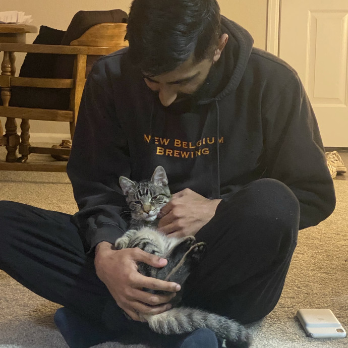 Loving Reliable Cat Sitter photo 2