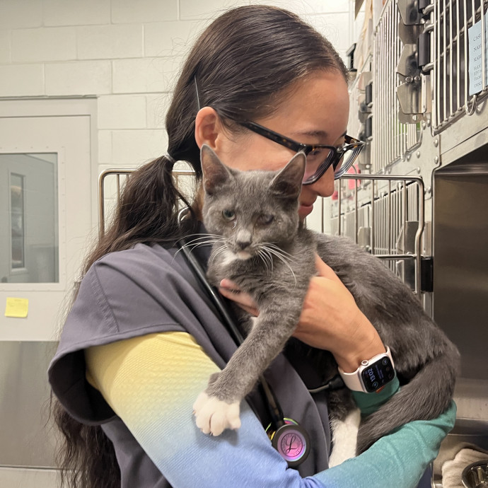 Vet Student With 2 Cats Herself photo 2