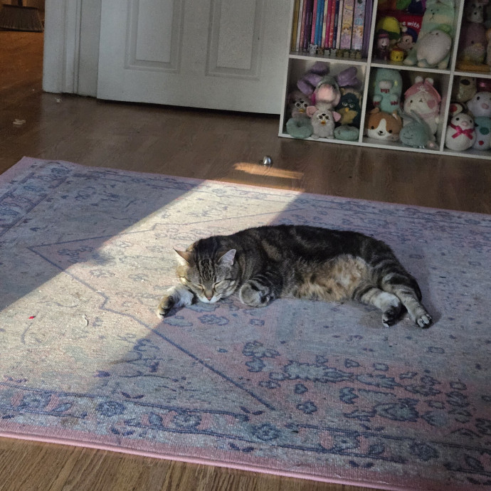 Artist Who Lets The Cats Be Themselves