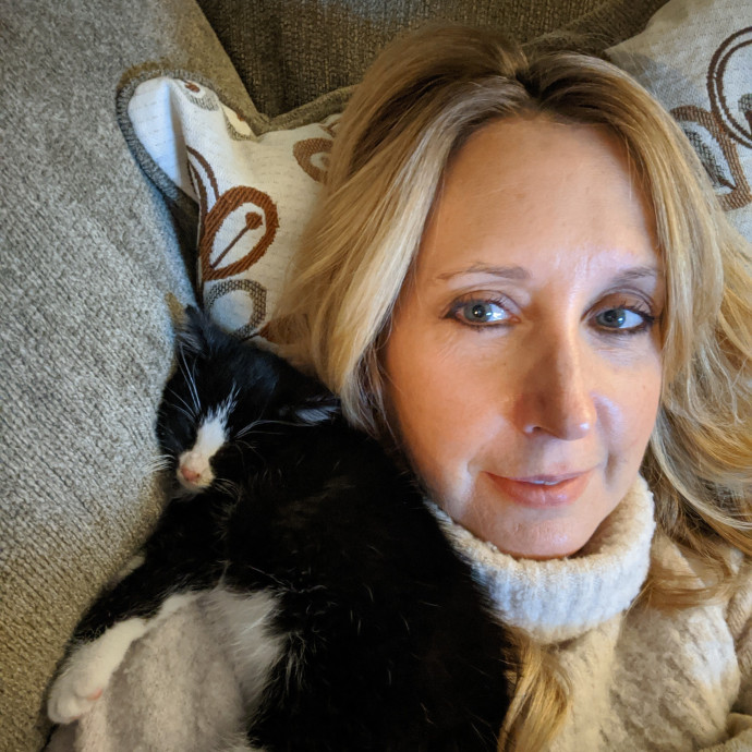Kittens Cats  Cuddles Drop-In Service photo 2