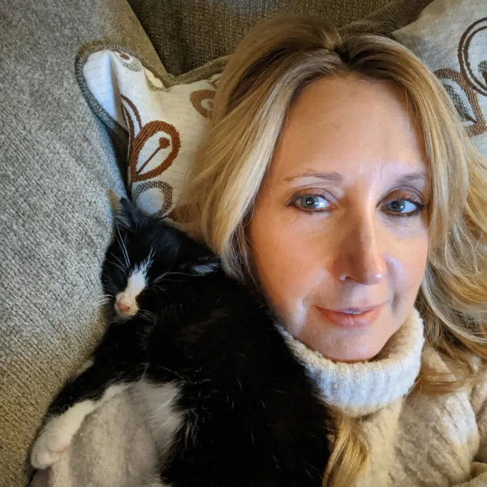 Kittens Cats  Cuddles Drop-In Service photo 2