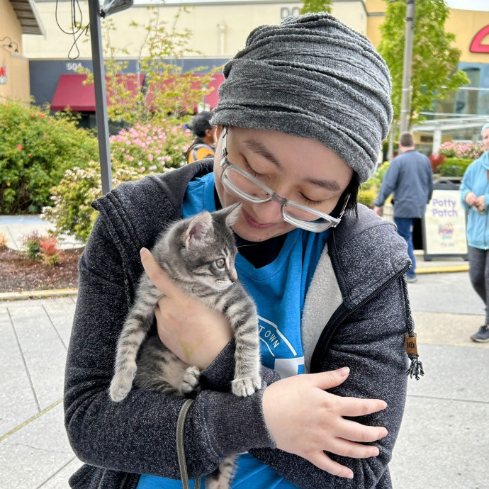 Catficionado photo 2
