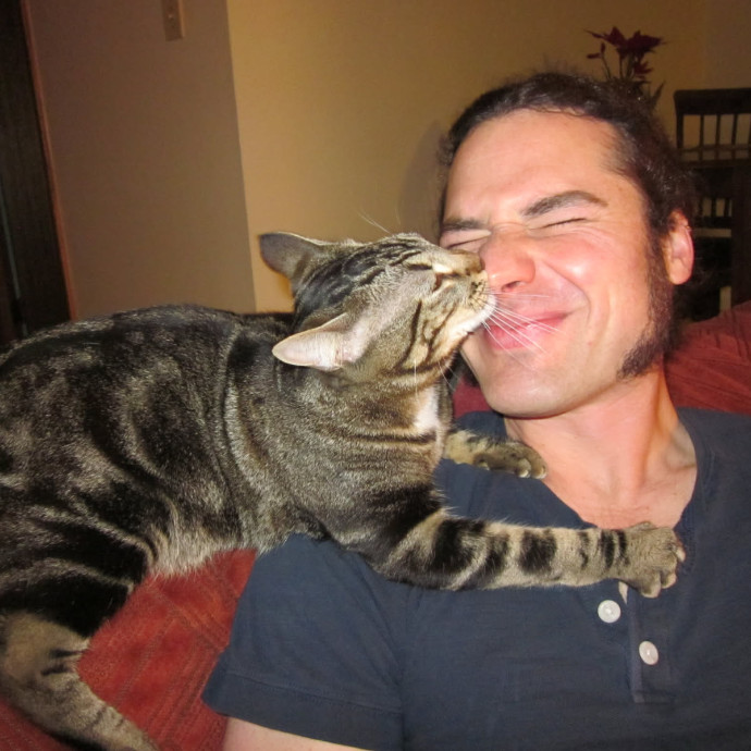 The Cat's Meow Cat Sitting