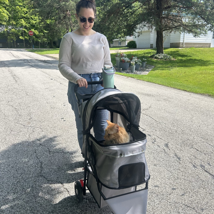 Lifelong Cat Lover  Patient Companion
