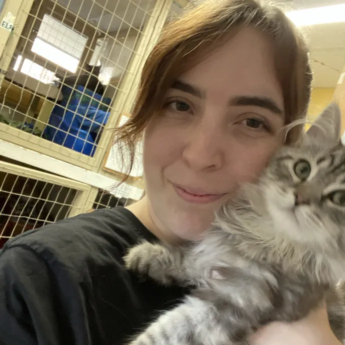 Purrfect Sitter For Your Furbabies