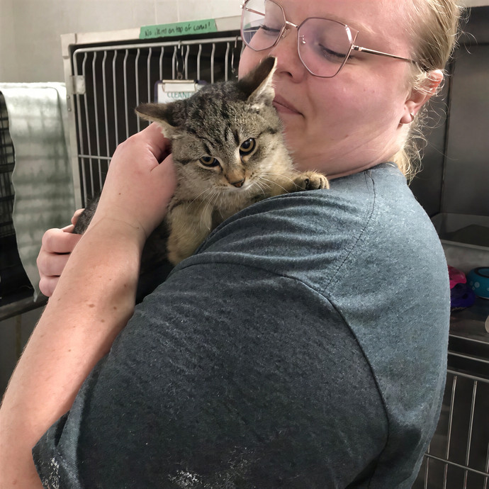 Stacy's Cat Whispering Care
