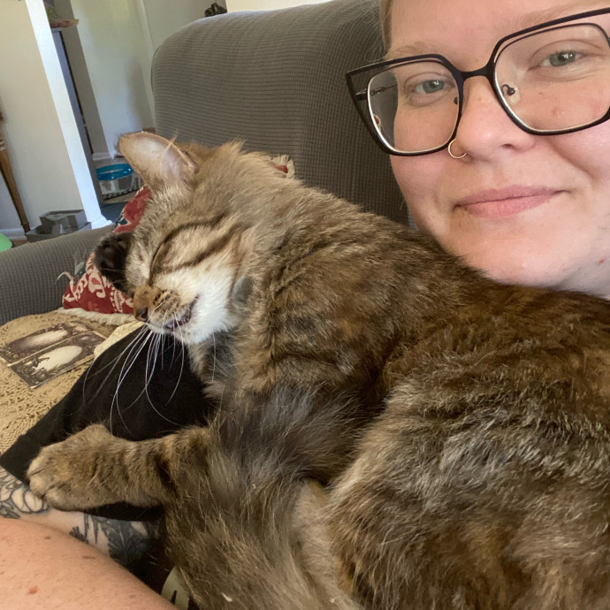 Stacy's Cat Whispering Care photo 2