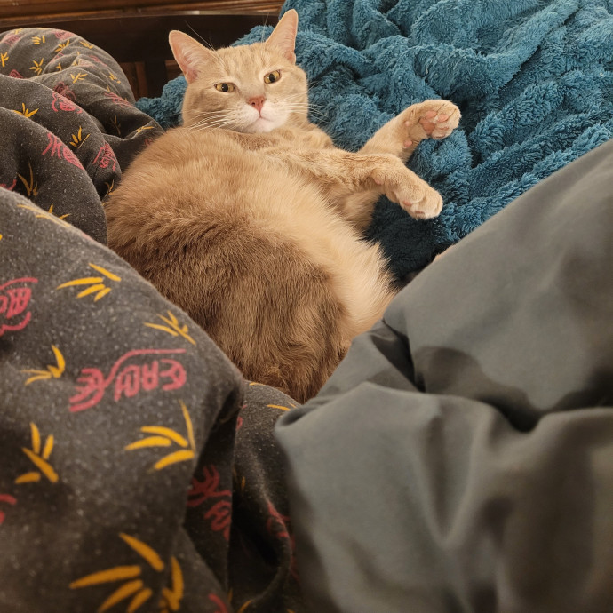 Kitty Sits By Jamie