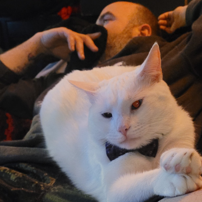 Kitty Sits By Jamie