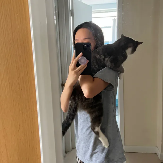 Tracy And The Cats Of Astoria