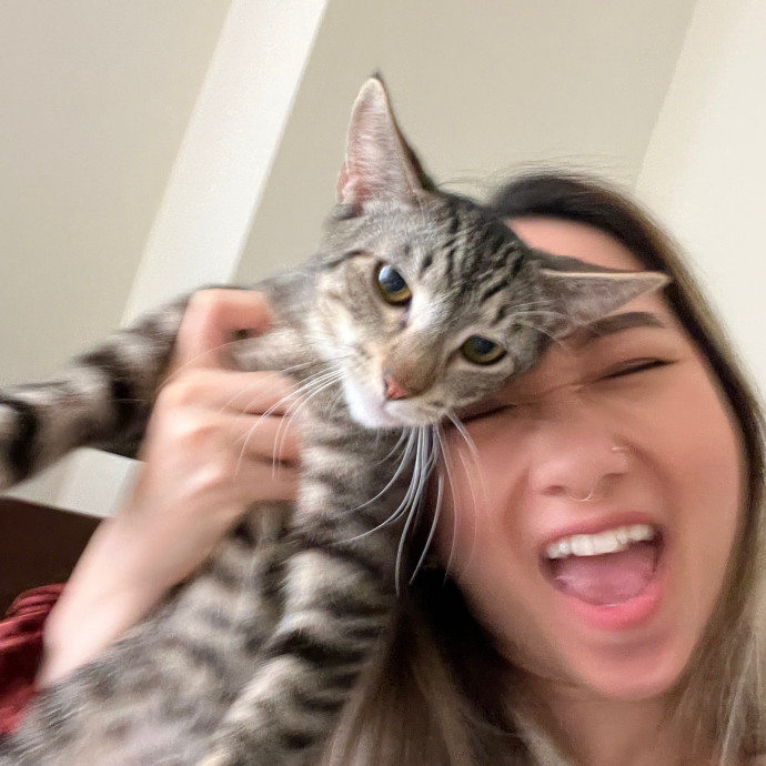 Tracy And The Cats Of Astoria