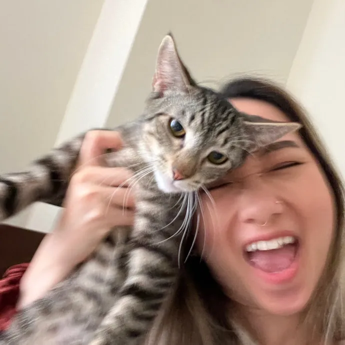 Tracy And The Cats Of Astoria