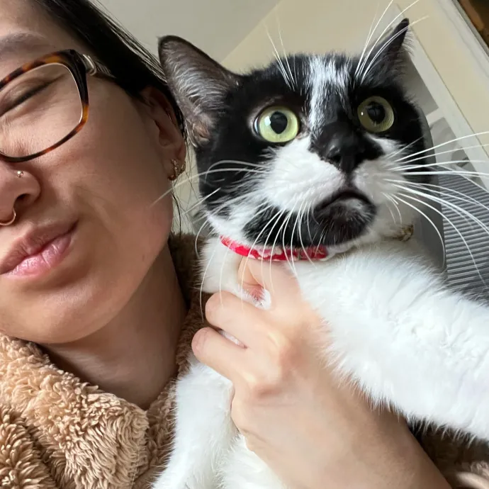 Tracy And The Cats Of Astoria