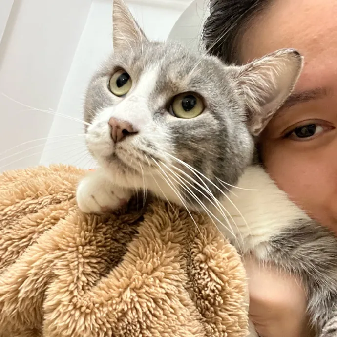 Tracy And The Cats Of Astoria