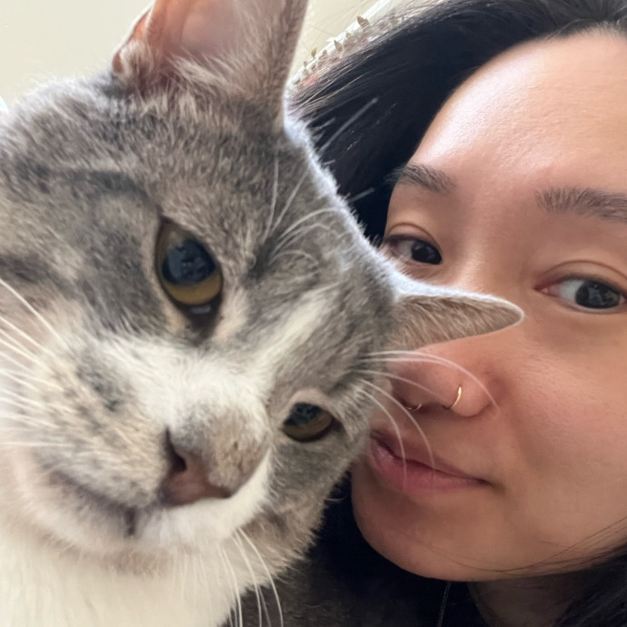Tracy And The Cats Of Astoria