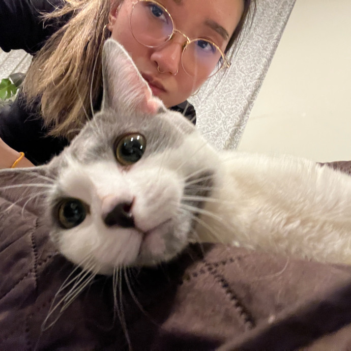 Tracy And The Cats Of Astoria
