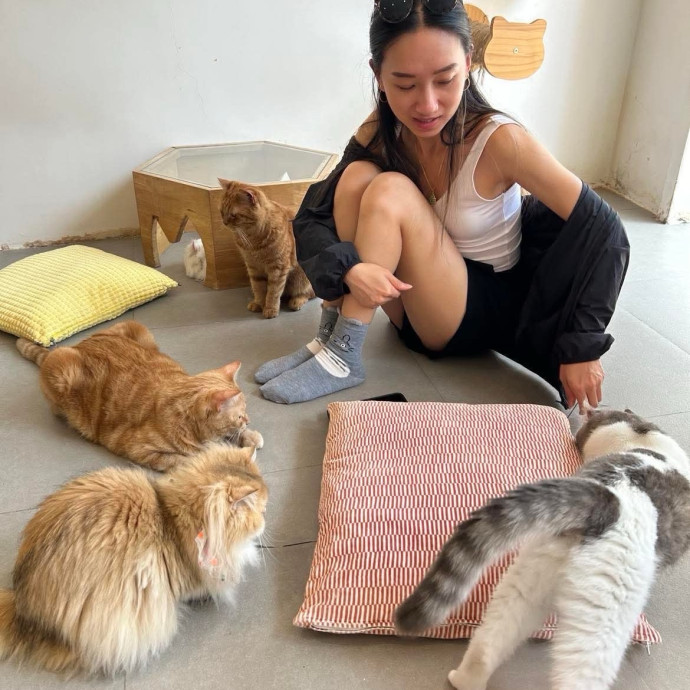 Tracy And The Cats Of Astoria