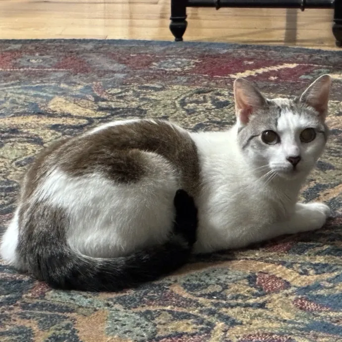 Sammy M.