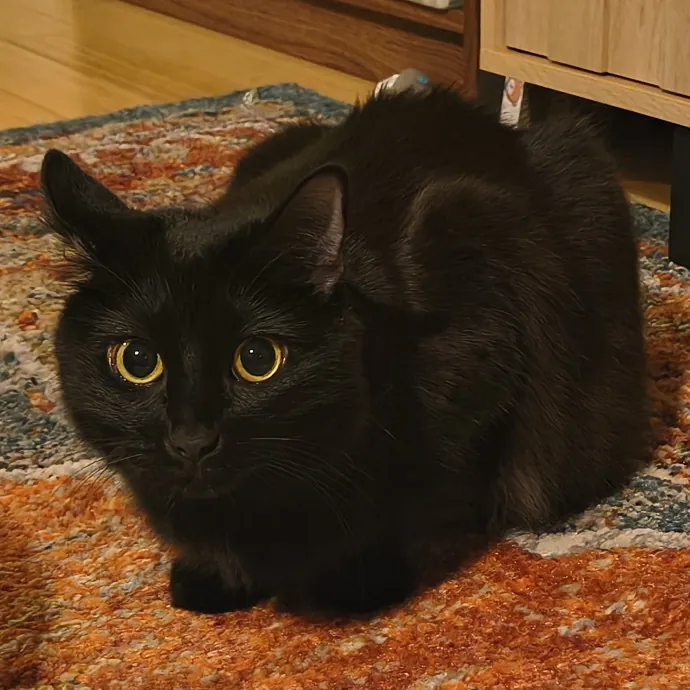Sammy M.