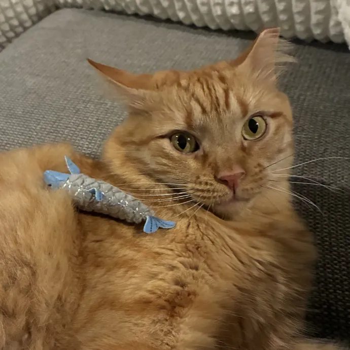 Sammy M.