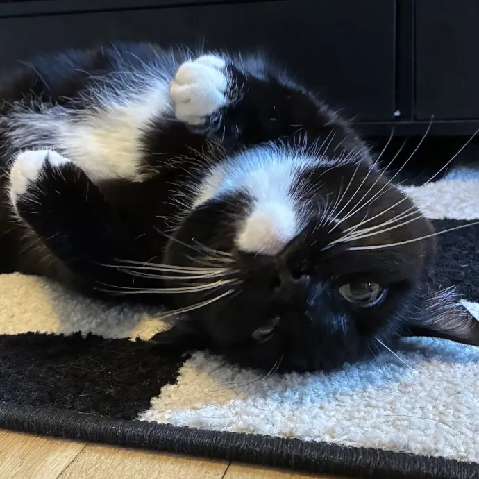 Sammy M.