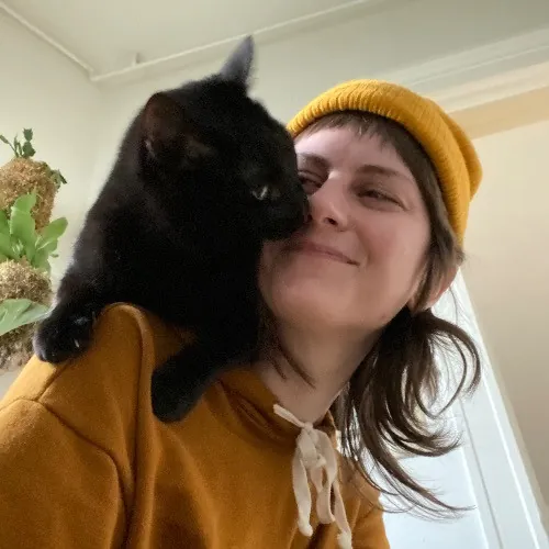 Cat Care With Lin