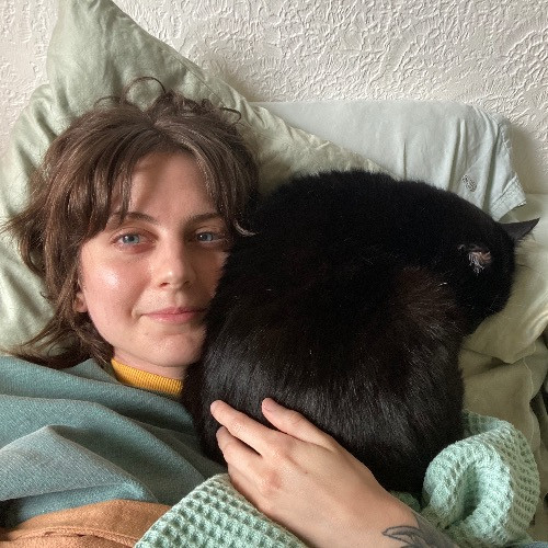 Cat Care With Lin