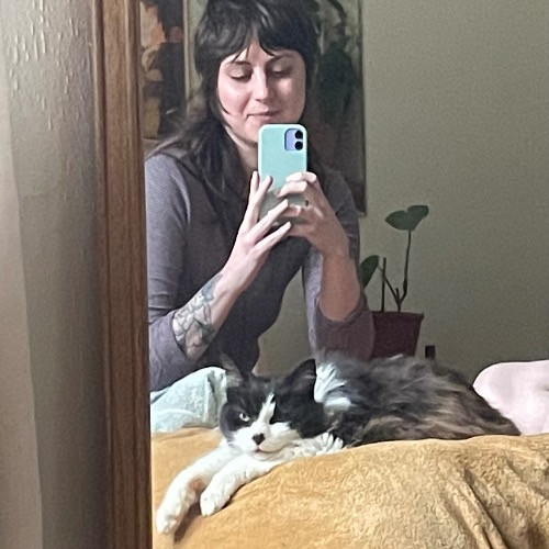 Cat Care With Lin
