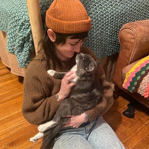 Cat Care With Lin