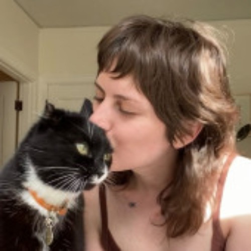 Cat Care With Lin