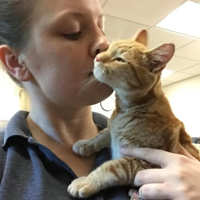 Your Cat's Next Best Furr-Iend