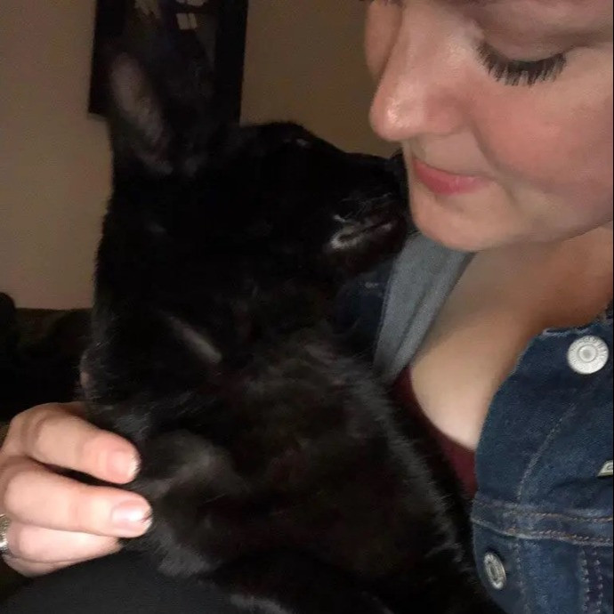 Your Cat's Next Best Furr-Iend