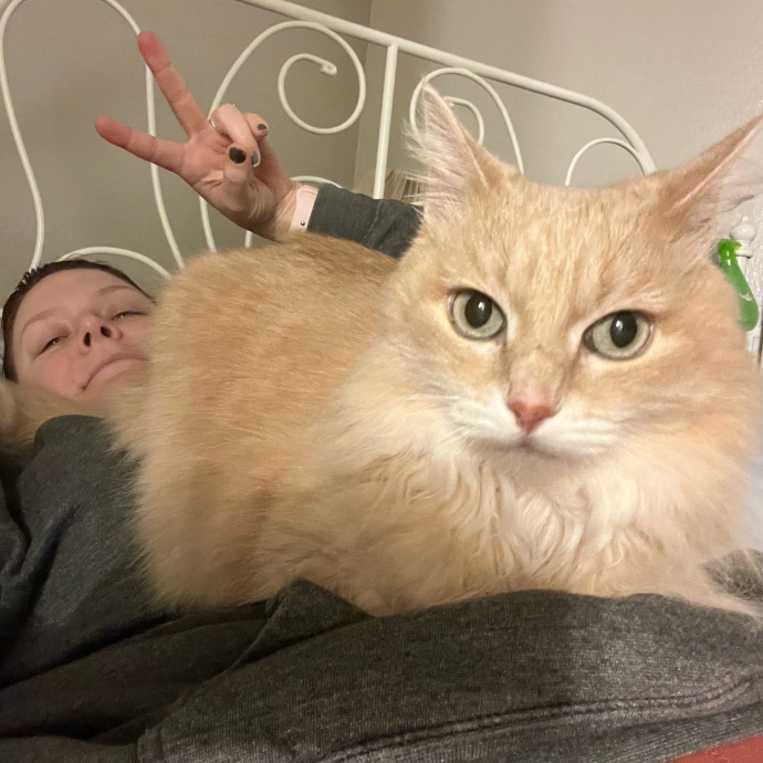 Your Cat's Next Best Furr-Iend