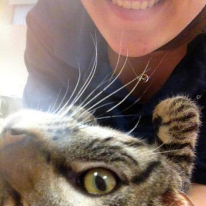 Your Cat's Next Best Furr-Iend