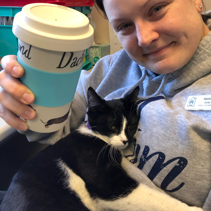 Your Cat's Next Best Furr-Iend
