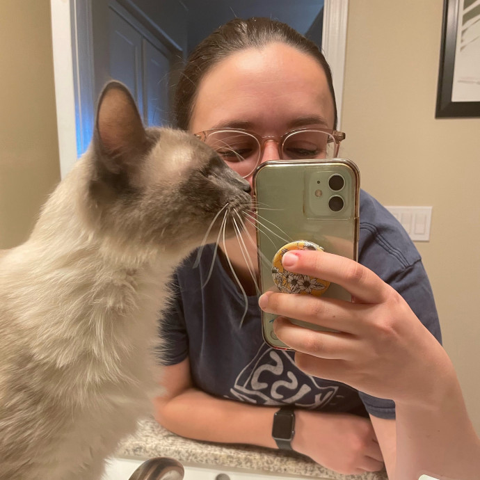 Cat Sitting Services By Ariana