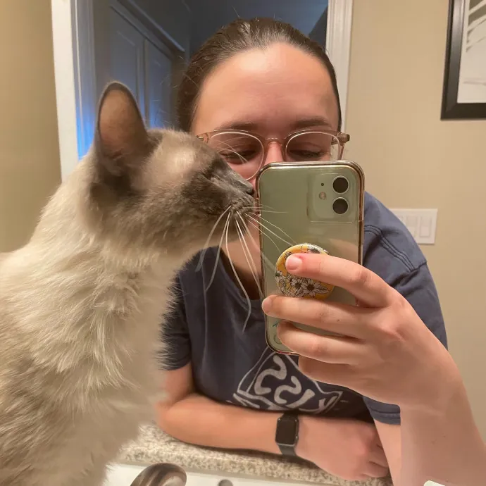 Cat Sitting Services By Ariana