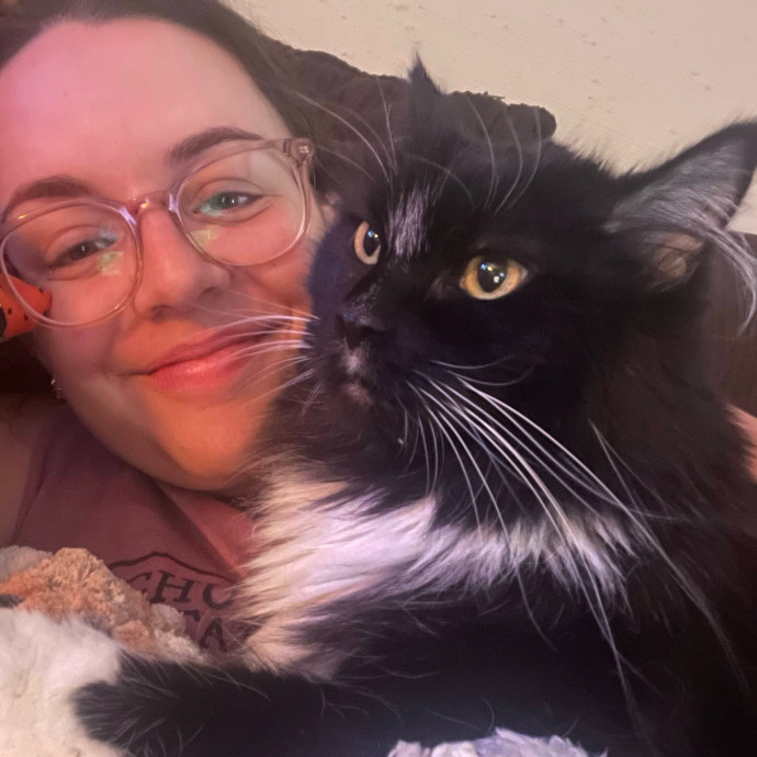Cat Sitting Services By Ariana