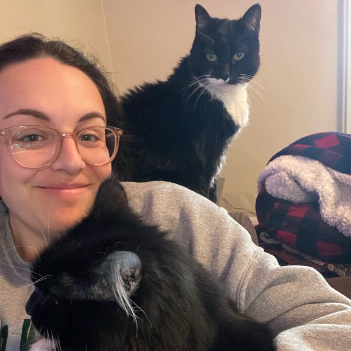 Cat Sitting Services By Ariana photo 2