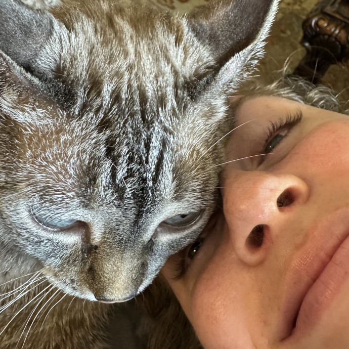 Cat Sitting photo 3