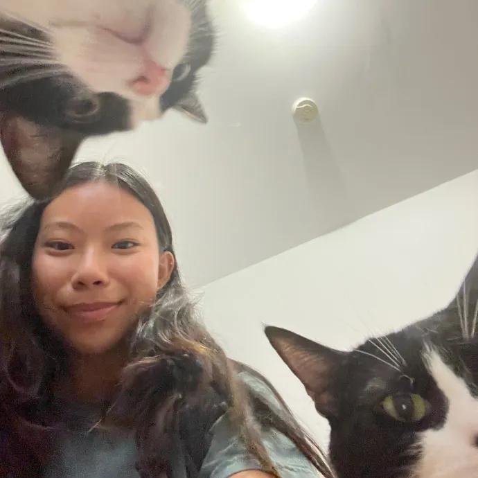 Fi's Felines