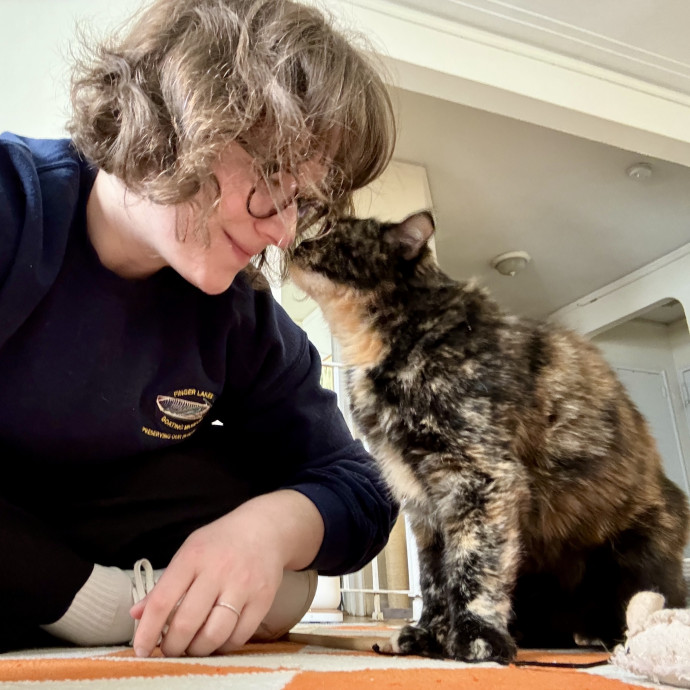 Lisa's Cat Care photo 3