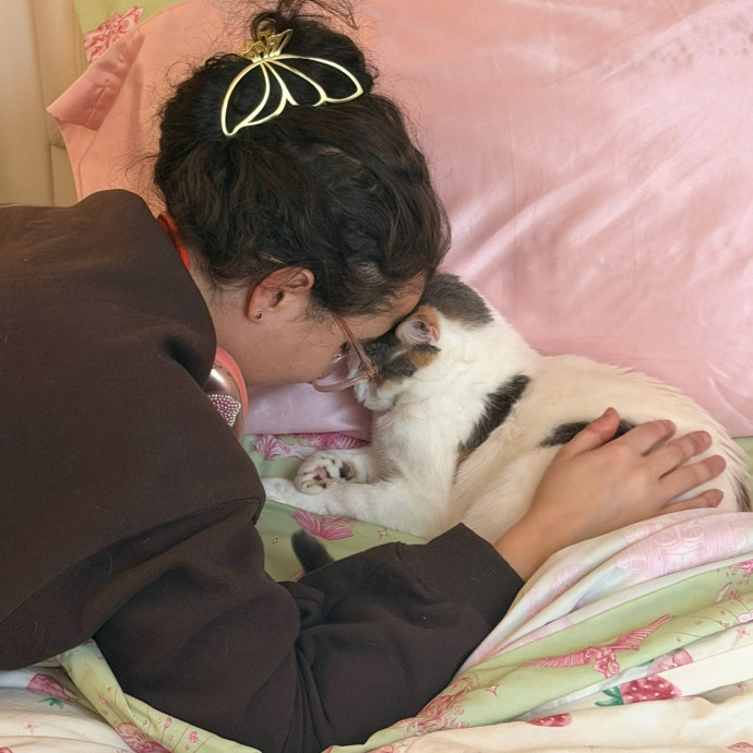 Isabella's Purrrfect Care