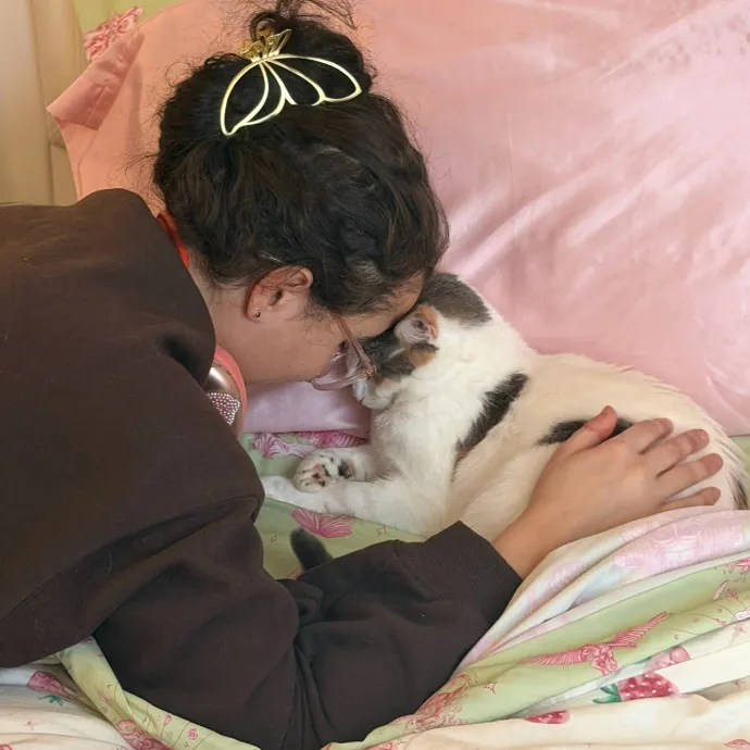 Isabella's Purrrfect Care