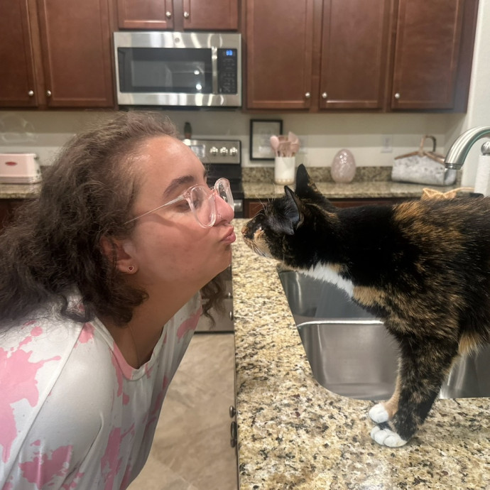 Isabella's Purrrfect Care